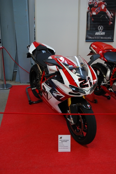 Puce_Niort_2009_018 [800x600].jpg